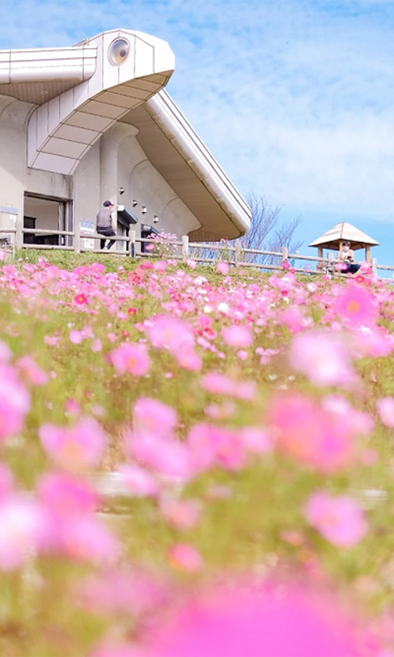 メインビジュアル